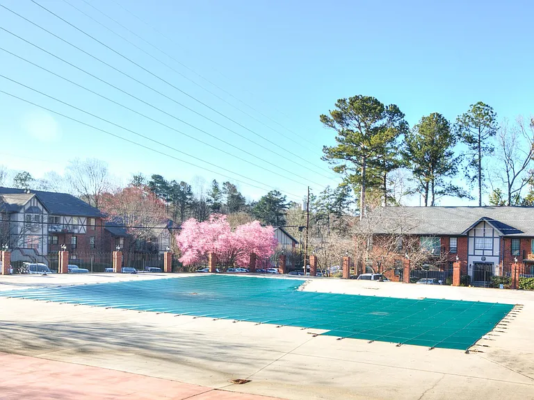 Olympic sized swimming pool