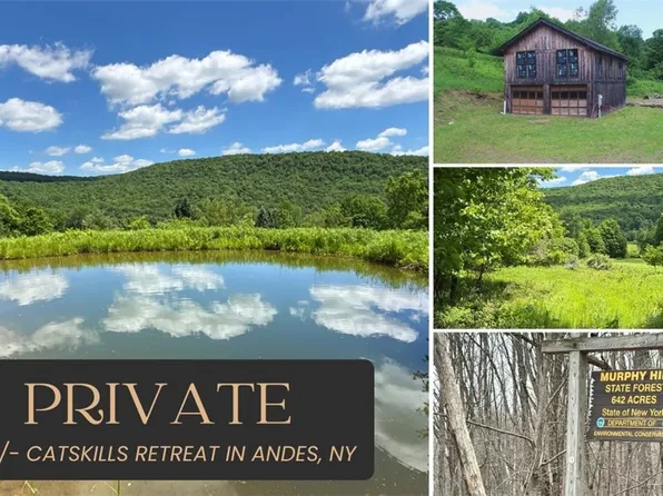 2613 Murphy Hill Rd Lot 3, Andes, NY 13731