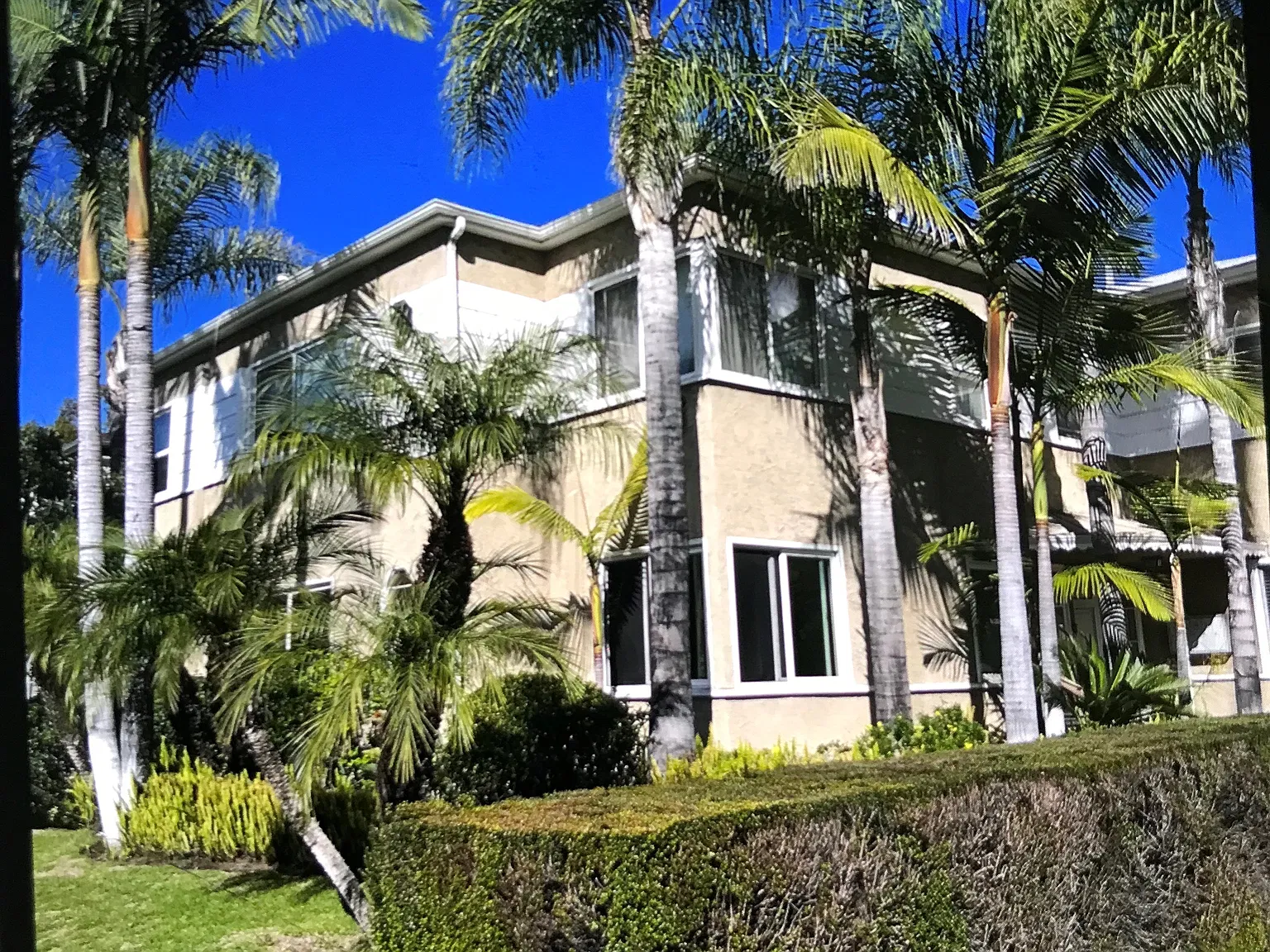 2 bed, 900 sqft, $2,000 — Photo 3