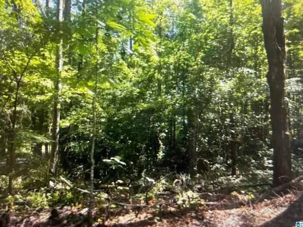 0 Gemini Cir Lot 53, Alpine, AL 35014
