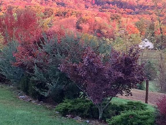 Side yard view of N.Mtn