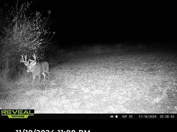 Timber Hill Lane, Boscobel, WI 53805