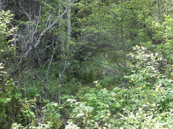 0 Lyons Road Lot 87-1, Lubec, ME 04652
