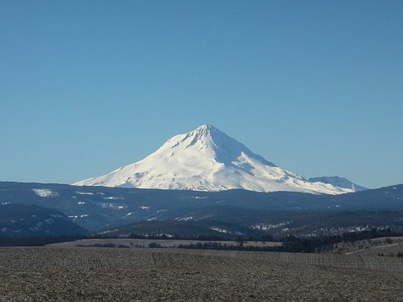 View of/from property