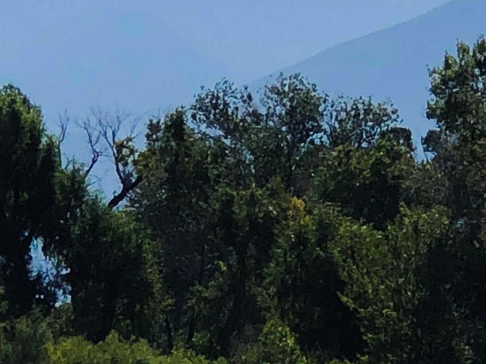 2nd image of Tbd Primrose Ln