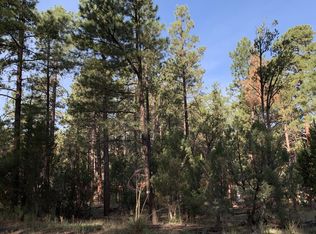 2966 Teddy Bear Trl #330, Overgaard, AZ 85933