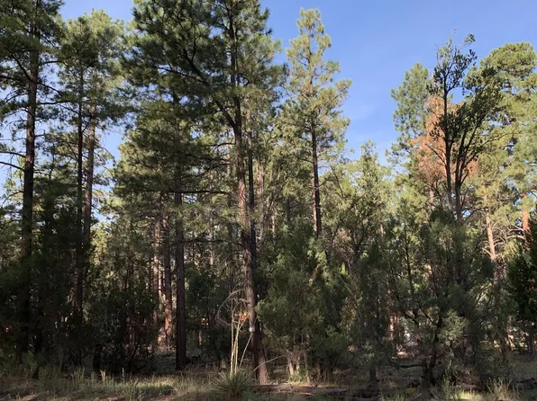 2966 TEDDY BEAR Trail #330, Overgaard, AZ 85933