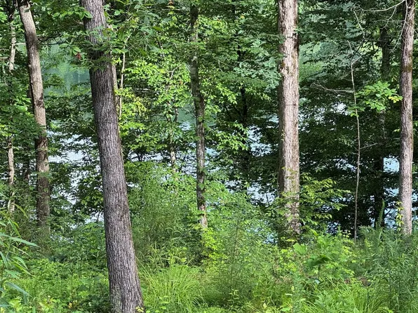 0 Lake Dr, Logan, AL 35098