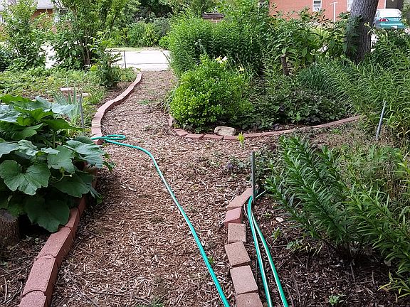 shaded pathways 