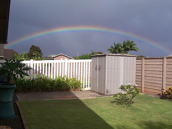 Looking out over back yard. 