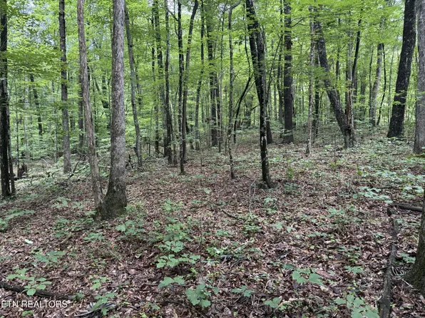 0 Icy Cove Trl Lot 24, Monterey, TN 38574