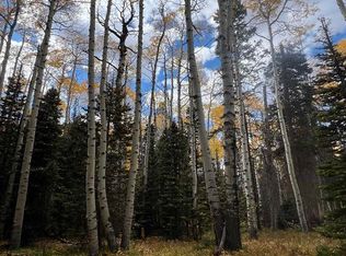 185 Aspen Trail, Cimarron, CO 81220