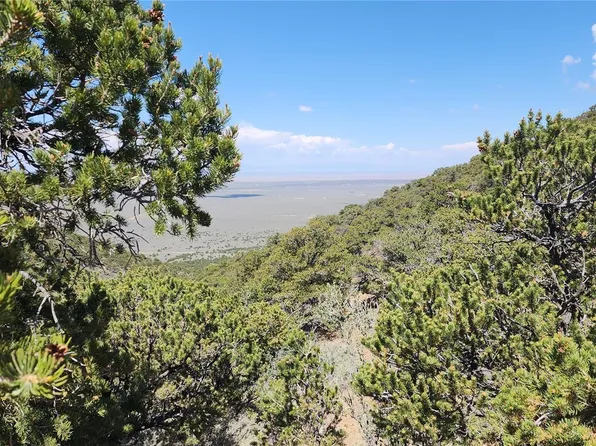 5039 Mamouche Road, Fort Garland, CO 81133