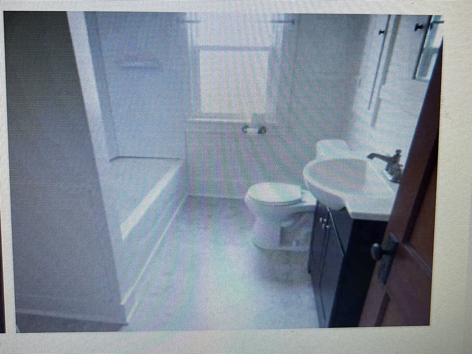 3 bed, $1,350 — Photo 3