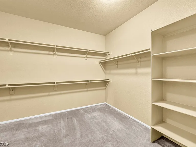 10792 Vineyard Pass St #0 — Photo 57