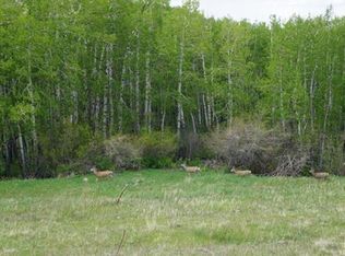 Tbd Cr 172, Westcliffe, CO 81252