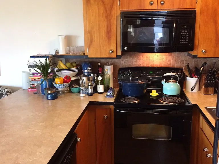 103 E Lynn St #204 — Photo 17