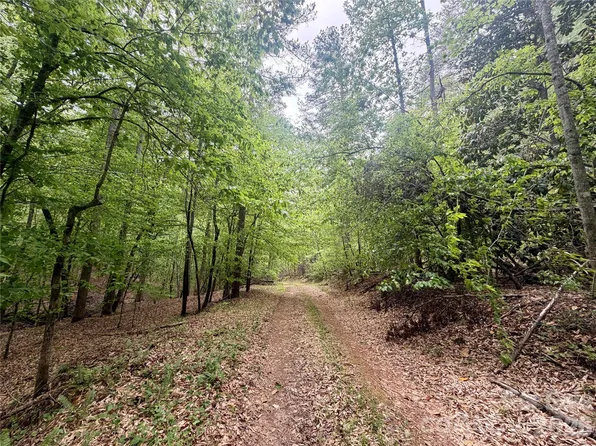 0 Polk County Line Rd, Rutherfordton, NC 28139