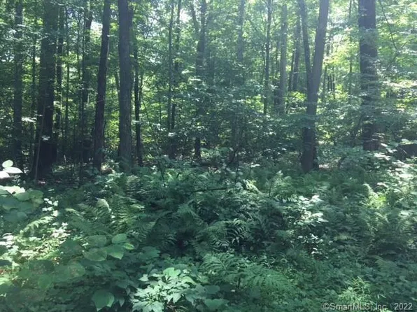 Lot 1 Mount Sanford Road, Cheshire, CT 06410