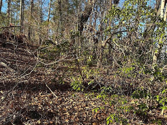 4th image of 0 Hawkins Ln