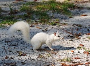 111 Mount Zion Rd #0, Crawfordville, FL 32327
