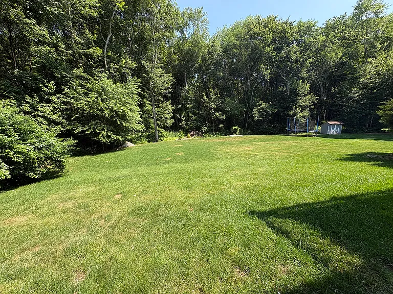 Back yard