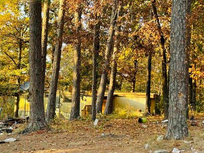 144 Cochise Ln, Mountain View, AR, 72560