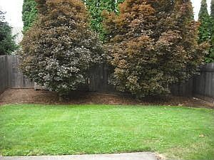 2nd image of 1416A SE Talton Ave