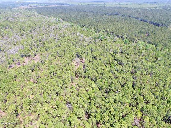 5th image of 31.5 Acres Off Highway 306 N