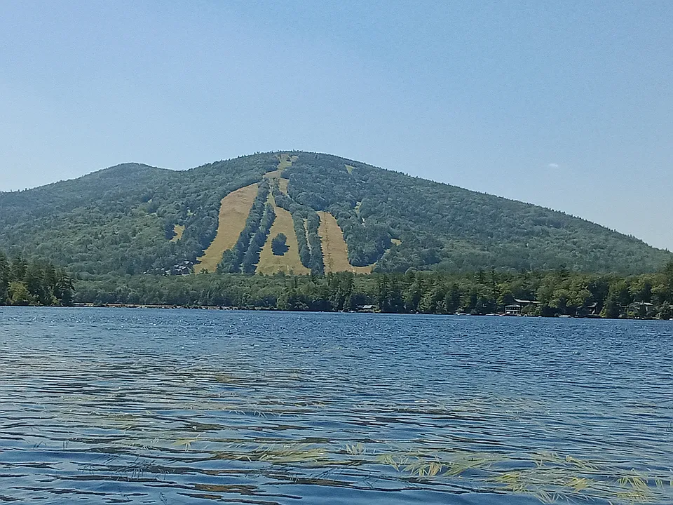 Cedar Dr