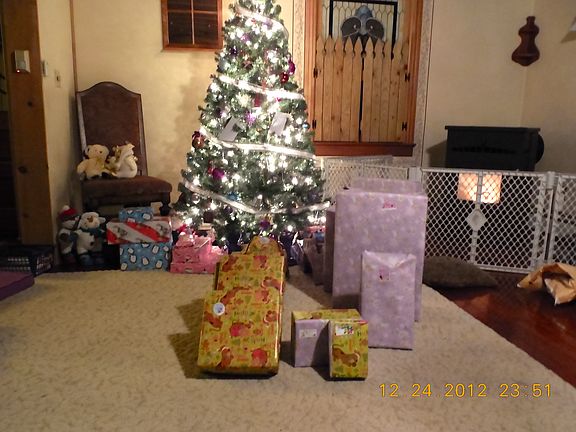 Pellett Stove: New 2012