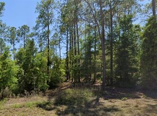 SE 5th Pl LOT 3, Williston, FL 32696