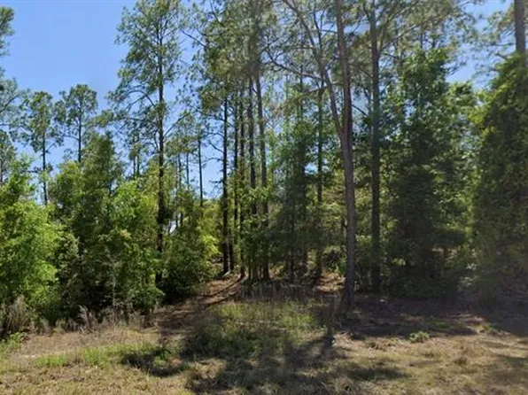 SE 5th Pl Lot 3, Williston, FL 32696