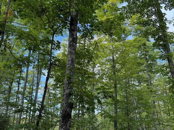 Kiviranta Rd, Nisula, MI 49952