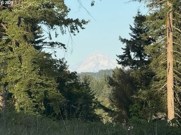 19331 SE Heuke Rd, Damascus, OR 97089