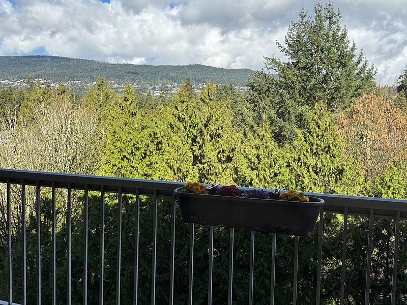 North Vancouver Apartment for rent - 1 Bedroom — photo 4