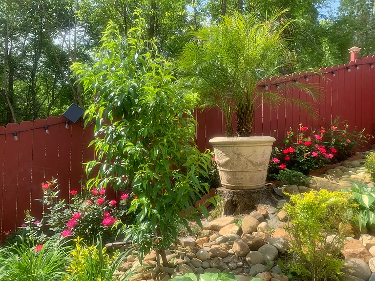 Backyard garden