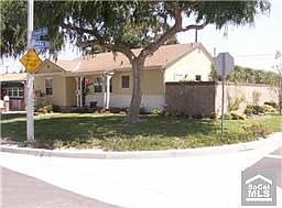 West Side Shade Trees