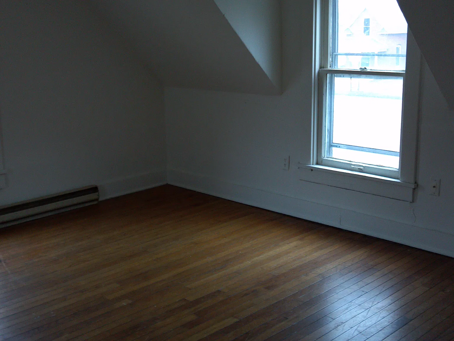 1 bed, $800 — Photo 3