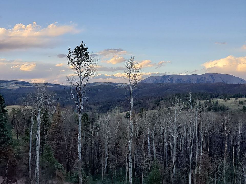 1st image of 2019 Strauss Dr #2