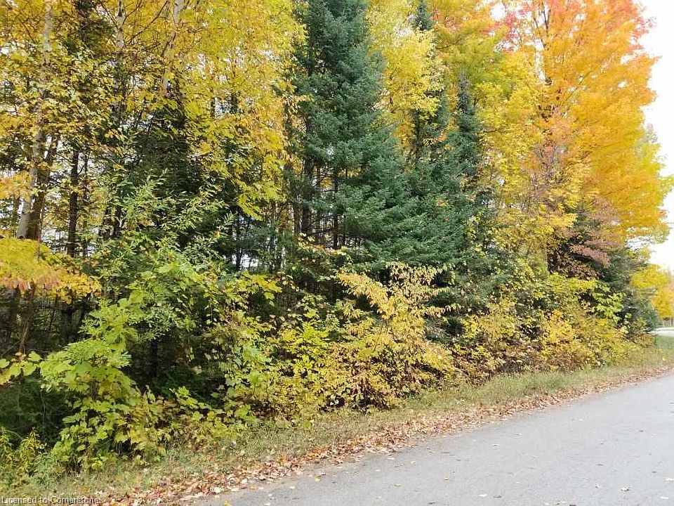 1st image of 20 Pine Forest Dr