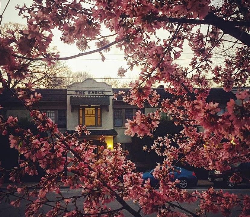 The Earle Apartments - Lovely Inman Park Neighborhood