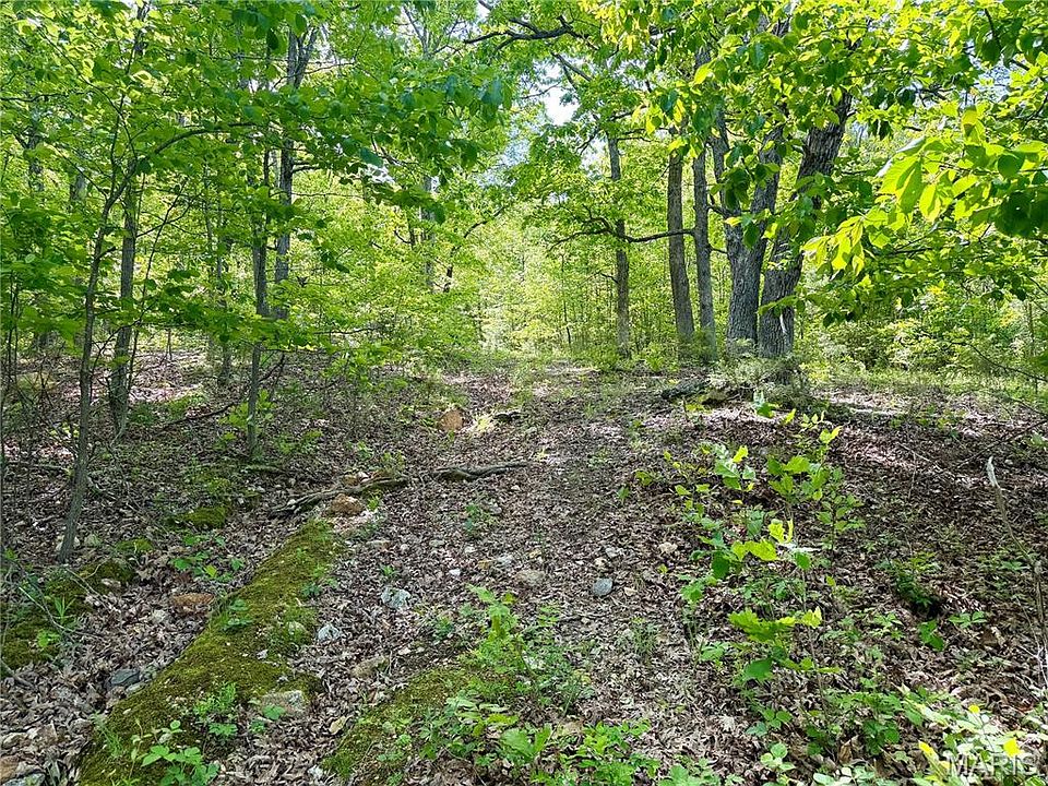 1st image of 0 Pratt Rd