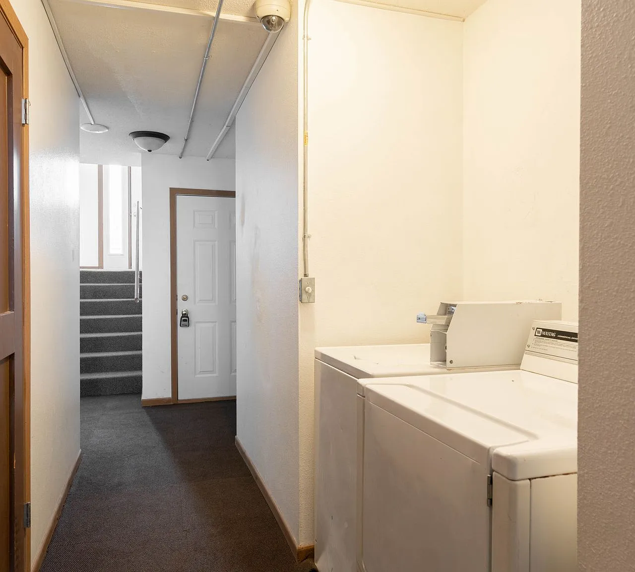 Wild Grove Apartments - 704 NICC — Photo 4