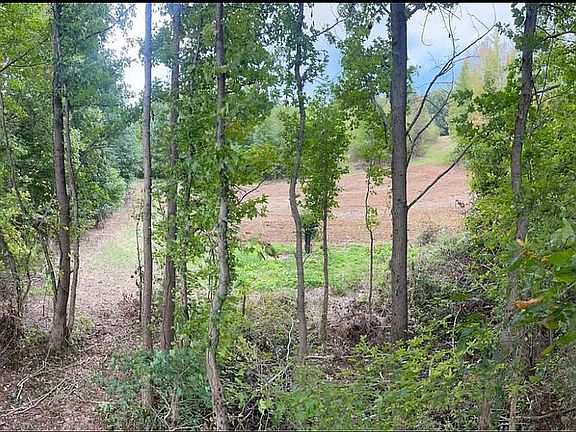 4th image of 26997 County Road 267