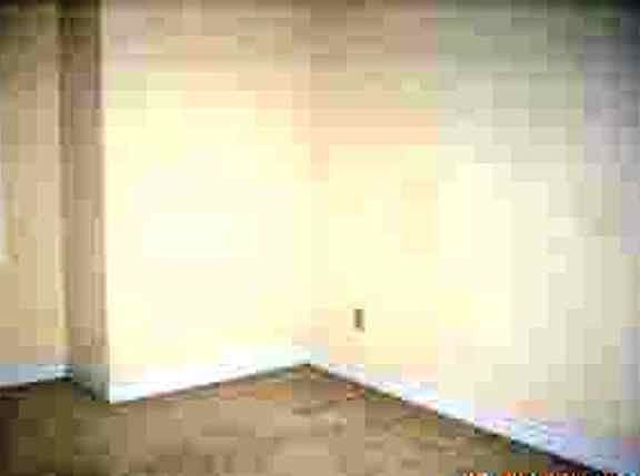 5th image of 11504 Paxton Dr