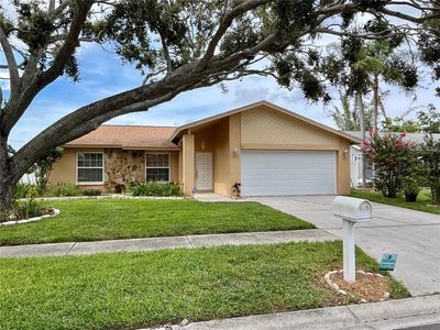 8117 Perth Dr, Largo, FL, 33773