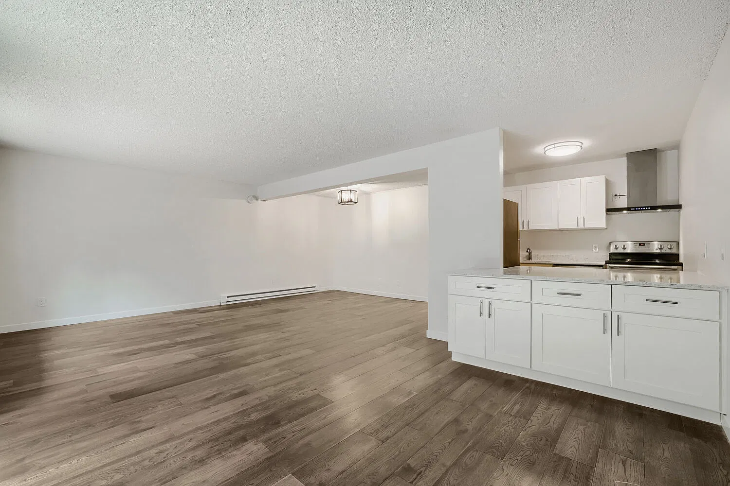 2 bed, 866 sqft, $2,100 — Photo 2
