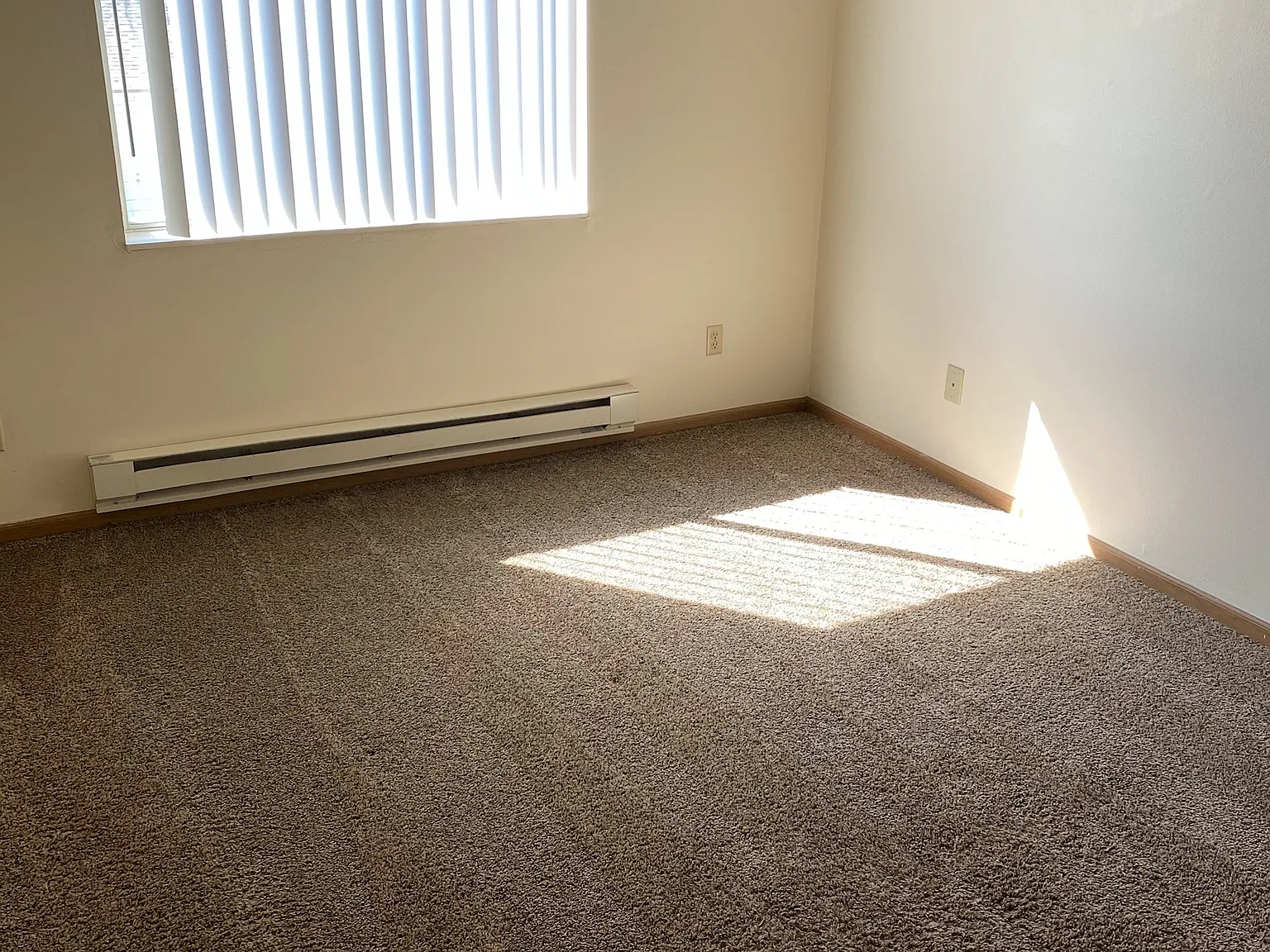 Meadow Wood Of Ames Apartment Building - 208 — Photo 4