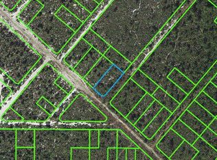 543 Nichele Blvd, Lake Placid, FL 33852